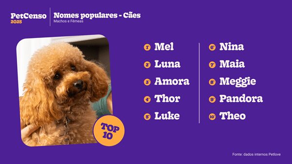 Top 10 nomes de cachorro.