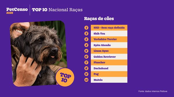 Top 10 raças de cachorro