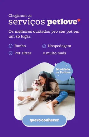 FIV e FELV em gatos: entenda essas doenças e como cuidar do seu pet 