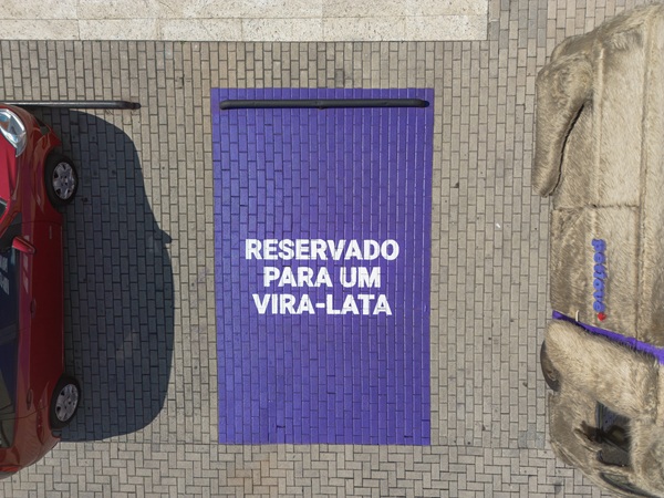 Vaga de carro para vira-lata.