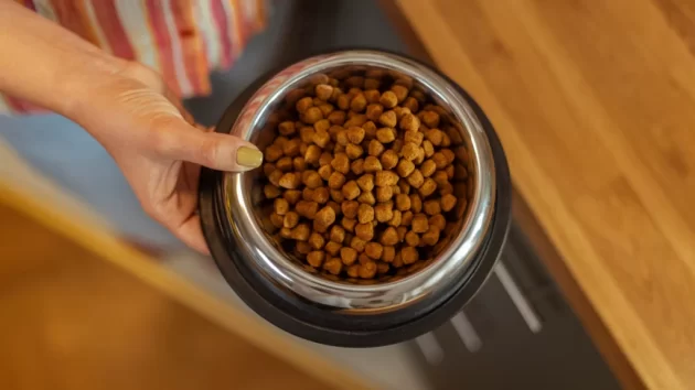 Petlove - pessoa servindo ração, alimento com nutrientes