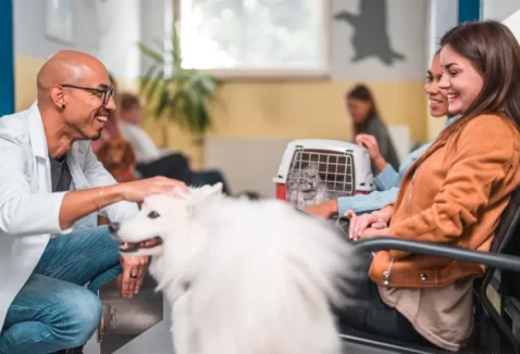 Como funciona o plano de saúde pet sem carência