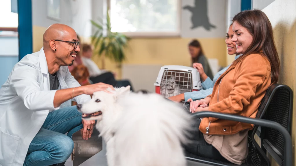 Como funciona o plano de saúde pet sem carência