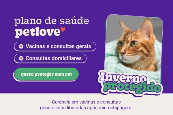 Como funciona o plano de saúde pet sem carência