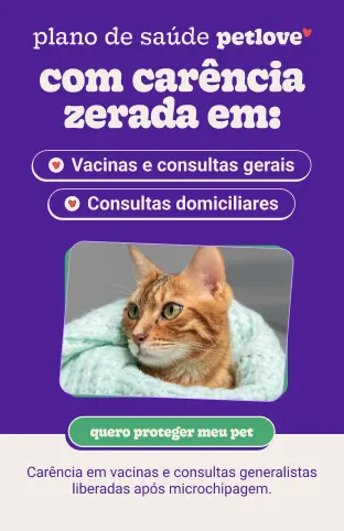 Japanese Pet Care Philosophy