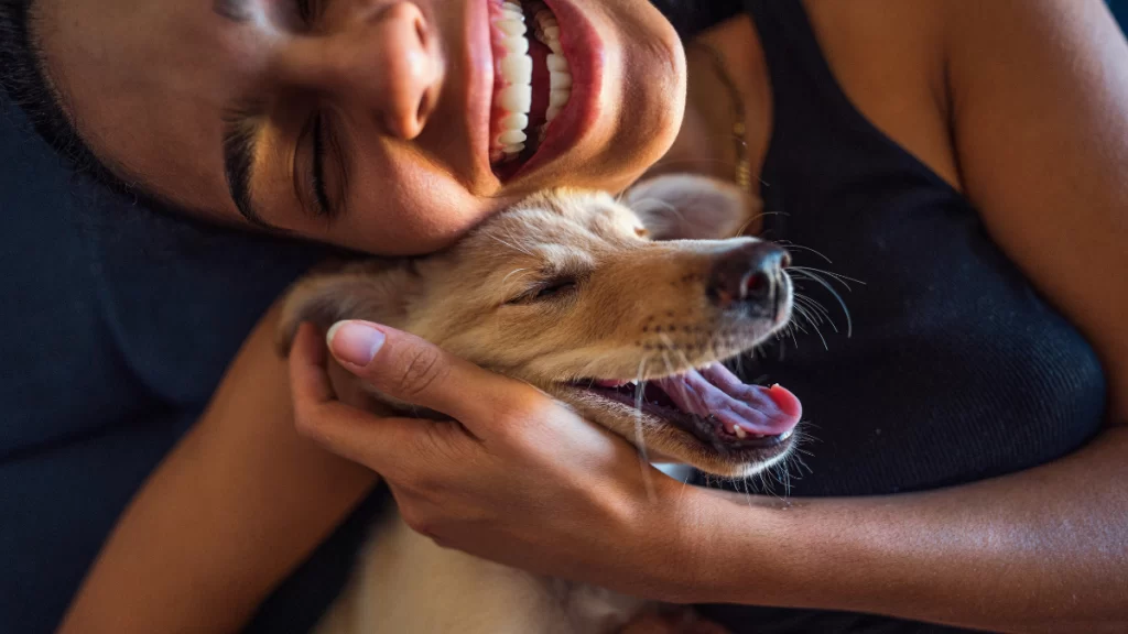 26 de agosto é todo deles: Dia Internacional do Cachorro
