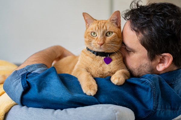 Conheça todos os serviços da Petlove para seus pets