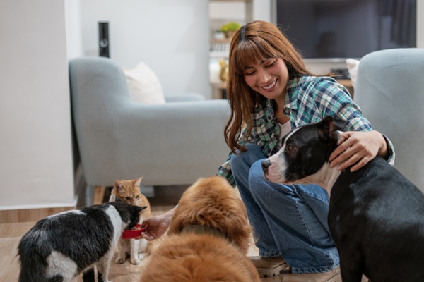 Mulher dando ração para cachorro e gato.
