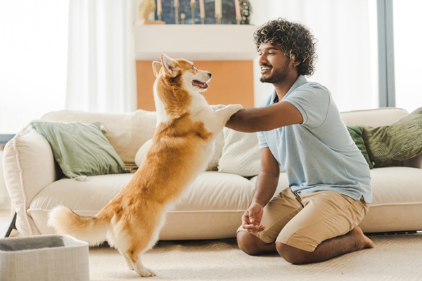 Homem cuidando de cachorro em casa.