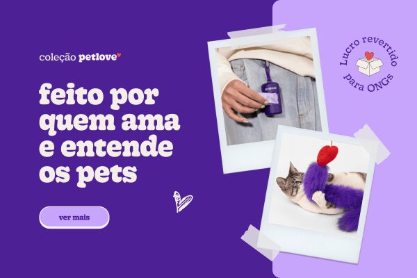 Dia Mundial da Vida Selvagem, 03 de março