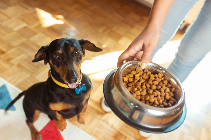 Saiba os benefícios da Ração Premium Especial para cães e gatos