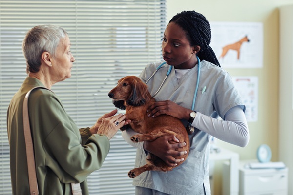 Cachorro com médica-veterinária e tutora.