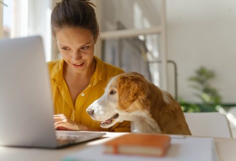 O que é e como funciona a teleorientação veterinária?