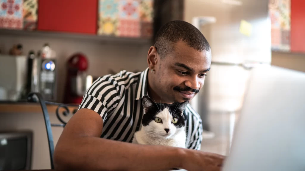 Como consultar a Rede Credenciada dos planos Petlove