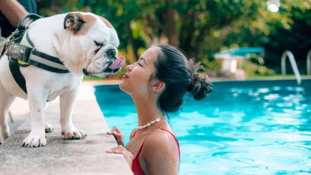 Petlove - Cachorro ao lado da sua tutora na piscina, cuidados com os pets no verão, insolação e uso de protetor solar