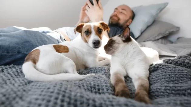Petlove - homem deitando na cama mexendo no celular, enquanto seus pets, um cachorro e um gato estão ao seu lado