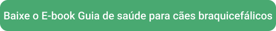 CTA - Download Ebook Cães Braquicefálicos