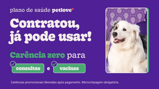 Plano de saúde pet sem carência