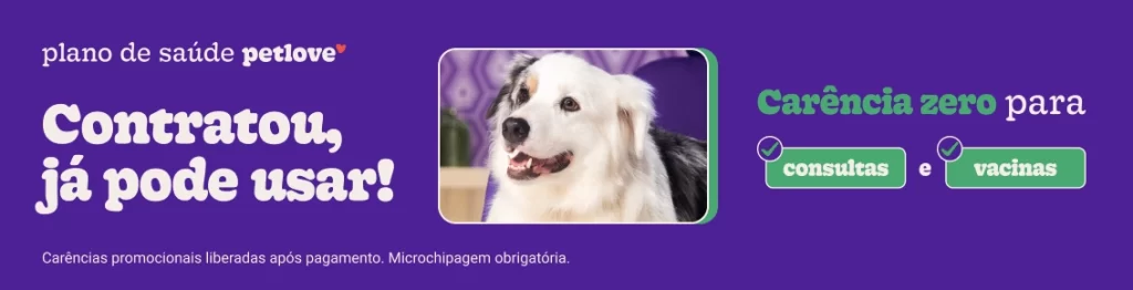Banner novidades carência zero em consultas e vacinas - destaque home desk