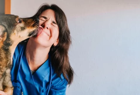 Principais diferenças entre seguro e plano de saúde pet