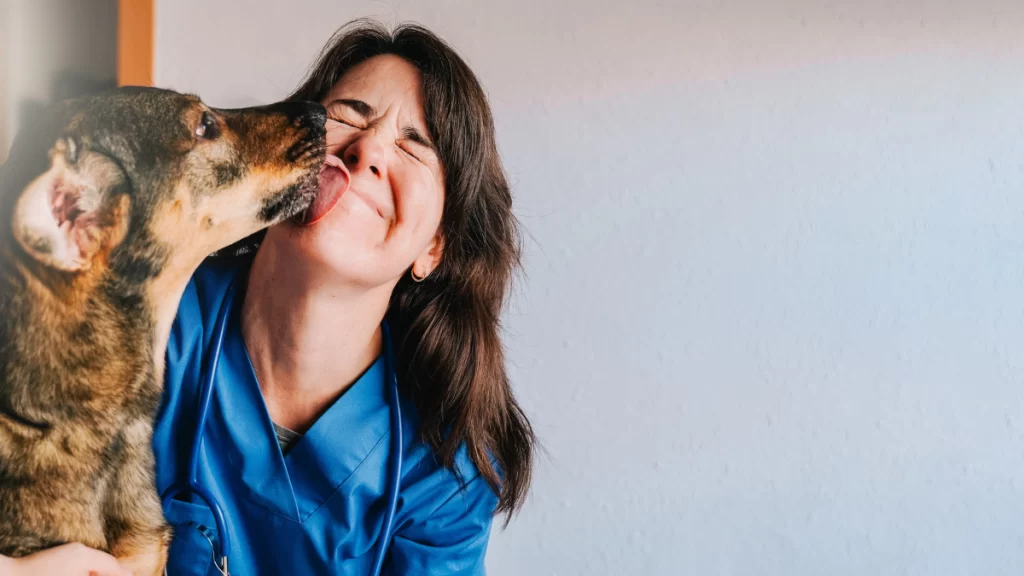Principais diferenças entre seguro e plano de saúde pet