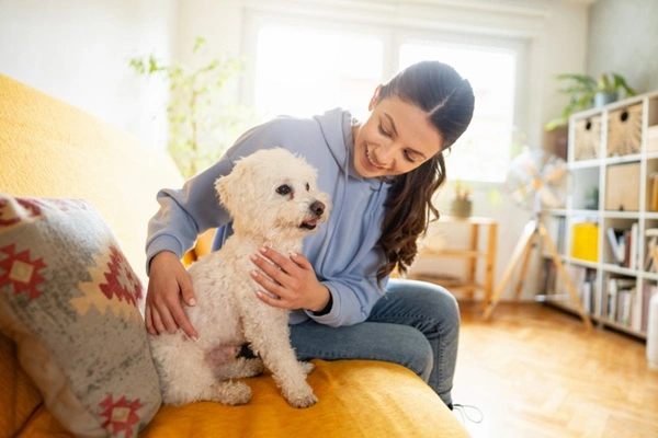 Cachorro com pet sitter.