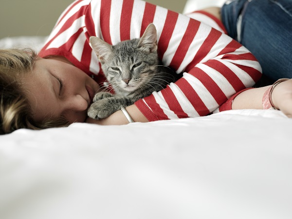 gato dormindo com tutor na cama