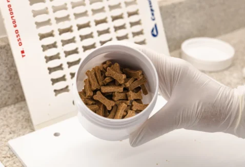 O que é biscoito medicamentoso e por que dar para o seu pet?