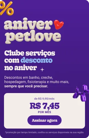 Shampoo manipulado para pet, saiba o que é e quando usar