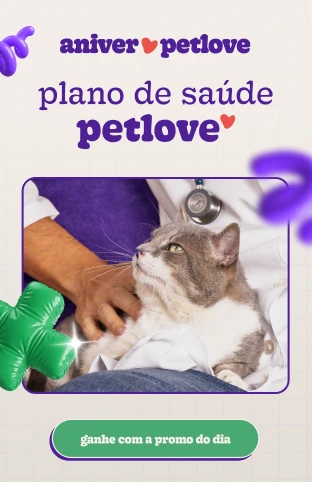 Cachorro pode comer palmito? 