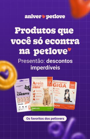 Cachorro pode comer palmito? 