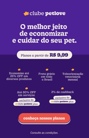 Por que os gatos gostam de nos acordar cedo?