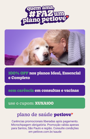 3 formas de manter a saúde mental do seu pet em dia