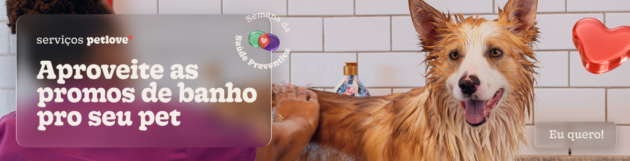 Banner Semana Preventiva Serviços