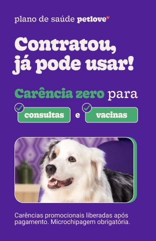 Prefeitura de Guarujá (SP) oferece mais espaços de lazer aos pets