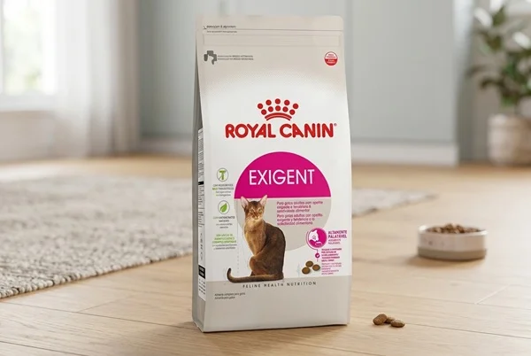 Conheça a Royal Canin Exigent, a ração para gatos seletivos