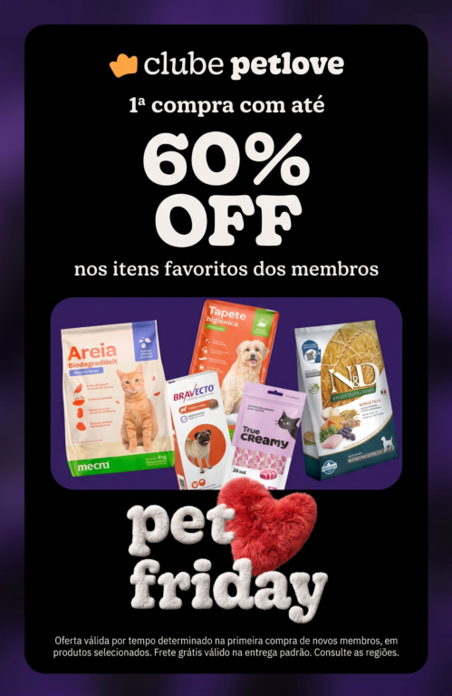 Conheça os principais tipos de tosa de Poodle